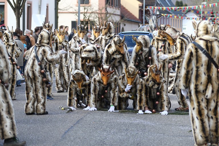 Jubiläumsumzug Schergässler